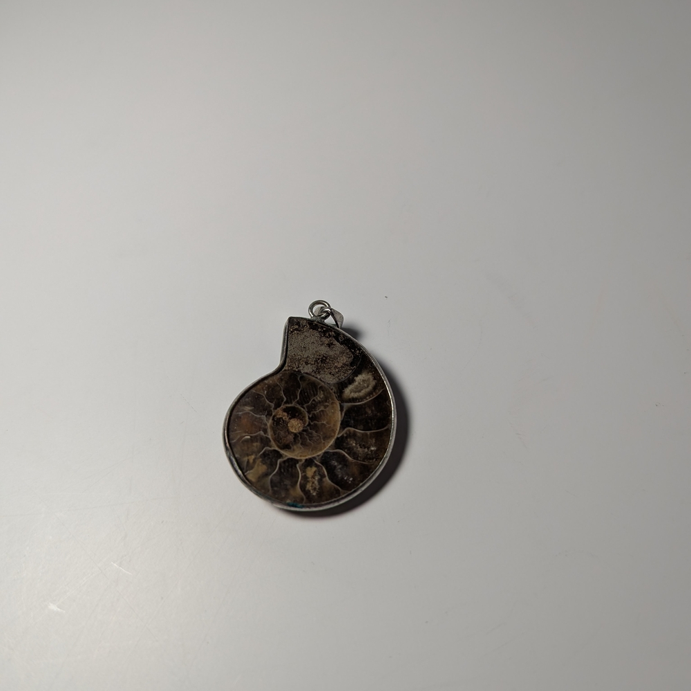 Fossil Shell Pendant - Picture 2 of 2